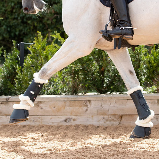Guêtres de dressage Techno Wool