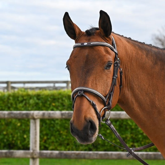 Bridon Clincher