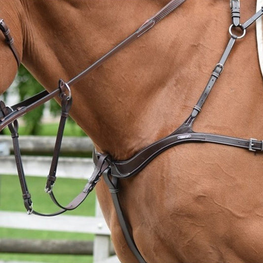 Collier de chasse cinq points et martingale